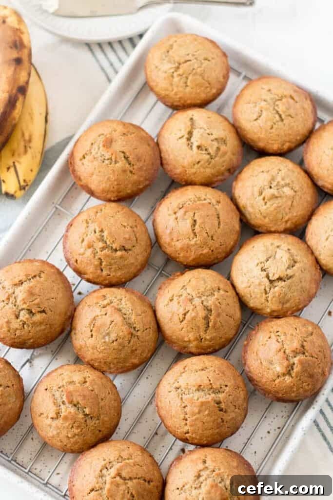 A dozen gluten free banana muffins on a wire rack, on a speckled baking sheet.