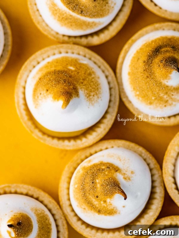 Mini lemon meringue pies on a yellow background.