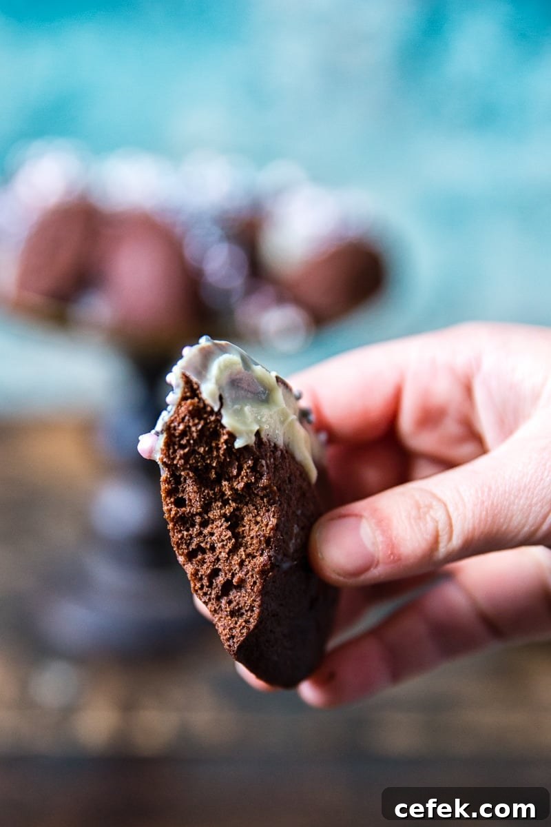 Chocolate Madeleines held by a hand with bite taken out