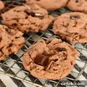 Chocolate Pudding Cookies.