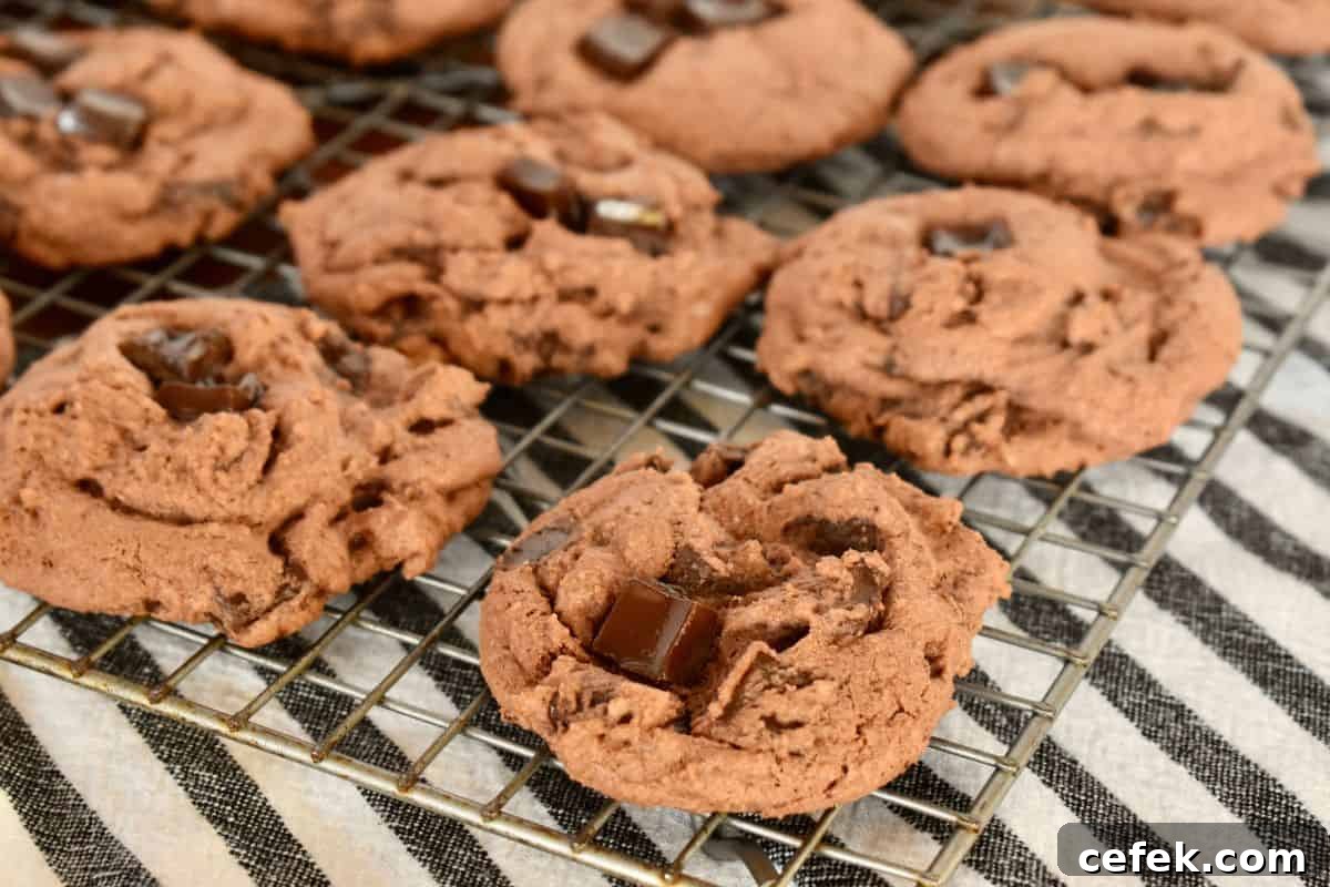 Chocolate Pudding Cookies with chunks of dark chocolate on a wire cooling rack. 