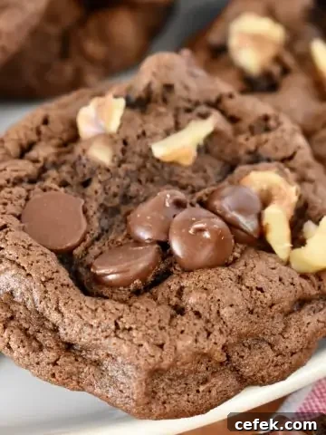 Chocolate Walnut Cookies recipe.