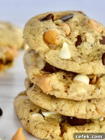 Triple Chocolate Chip Cookies