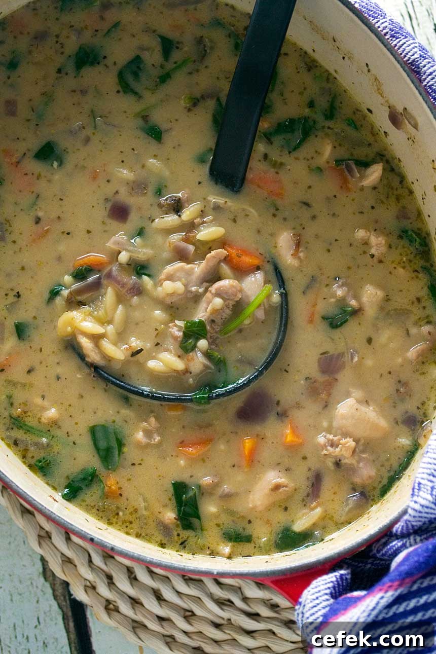 Creamy lemon chicken orzo soup (ready in just 30 minutes!)