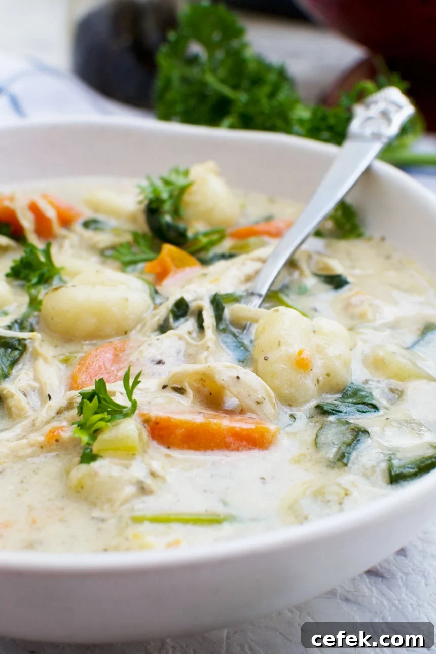 A close up of crockpot chicken gnocchi soup in a white bowl with a spoon
