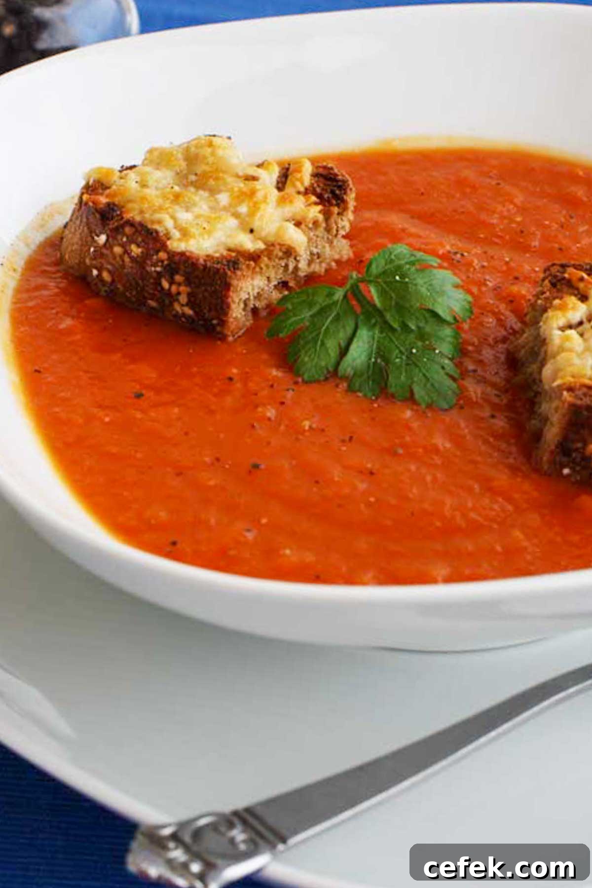 Closeup of butternut squash and tomato soup with little cheese toasts on top