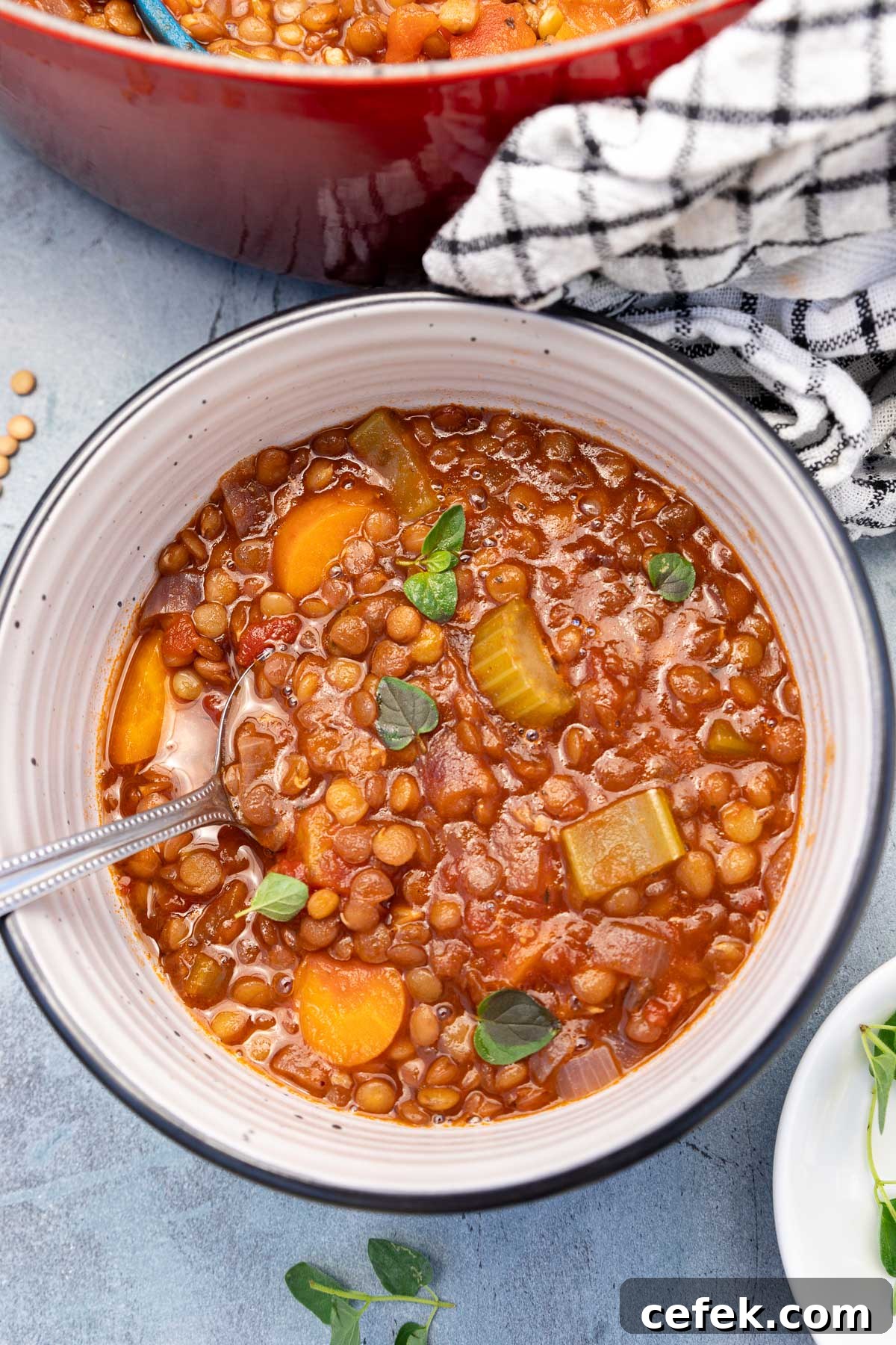Overhead view of a bowl of Greek lentil soup with oregano on top