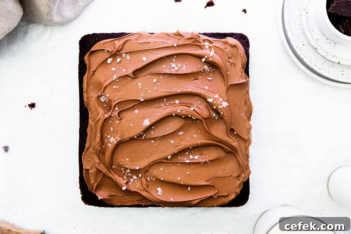 overhead chocolate cake with chocolate frosting
