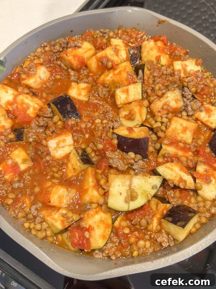 Ground beef, cooked lentils, eggplant, and marinara sauce in a large non-stick skillet, stirred
