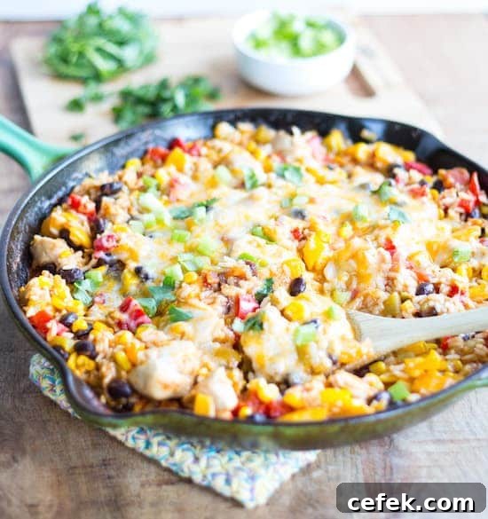 One Skillet Mexican Chicken and Rice