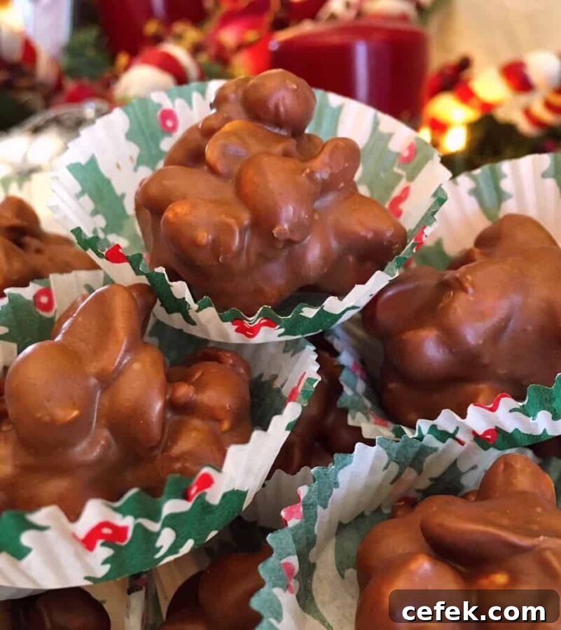 Slow Cooker Chocolate Peanut Clusters