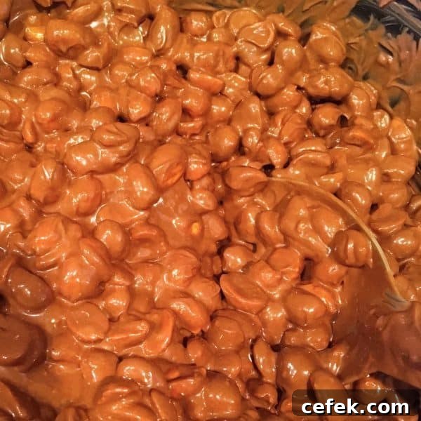 Melted chocolate and peanuts stirred together for clusters