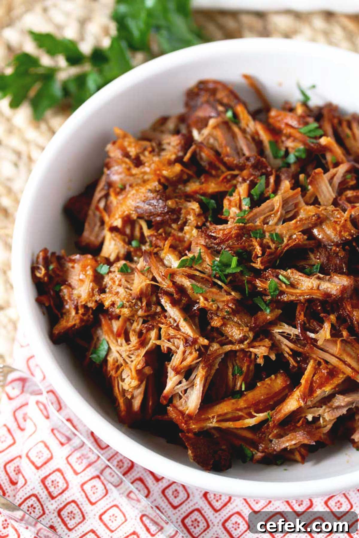 Pulled pork with BBQ sauce on a white bowl