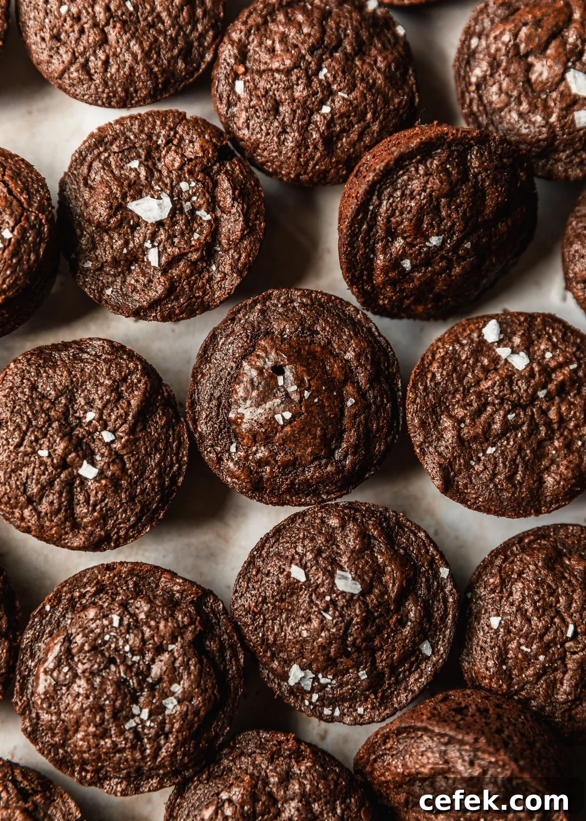 Rows of miniature brownie bites on a tan counter.