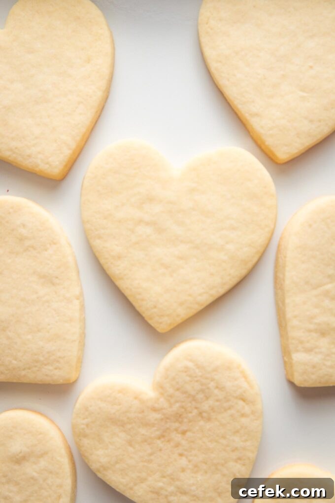 Baked, undecorated heart shaped cut out sugar cookies.