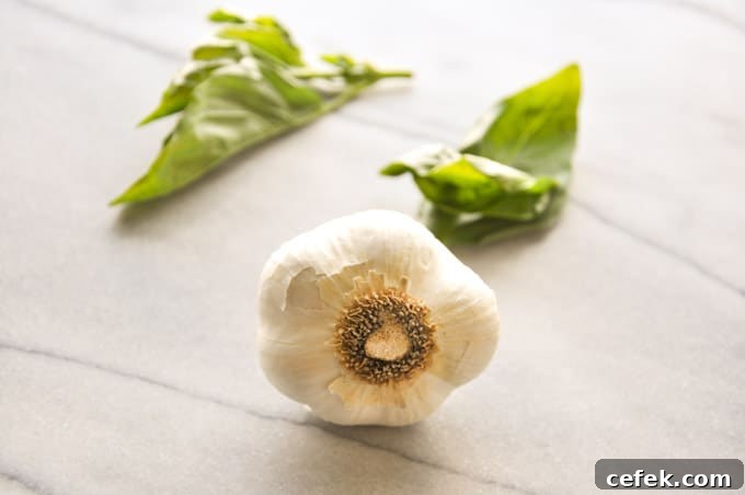 close-up of a head of garlic and basil leaves