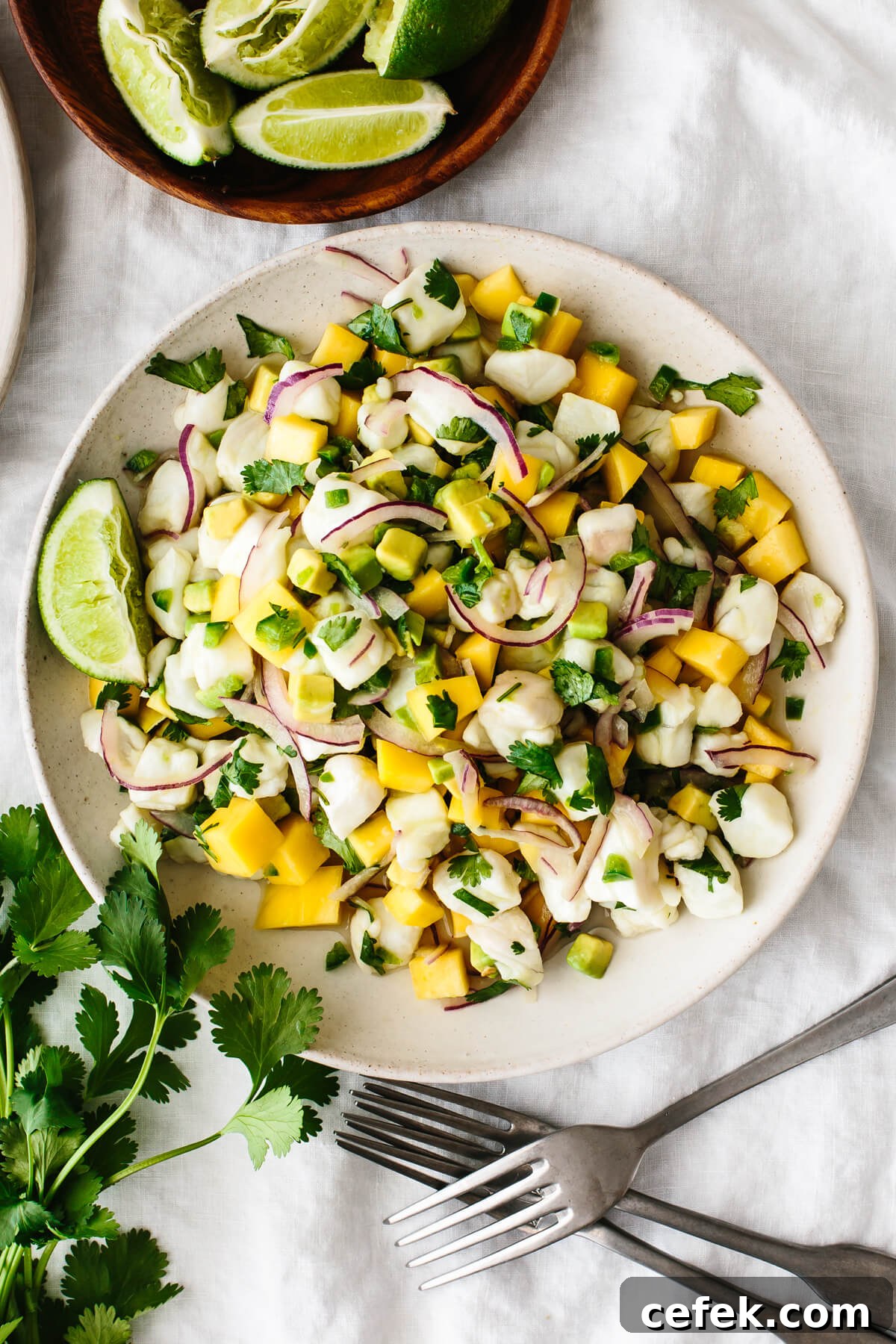 Mango halibut ceviche on a plate next to cilantro and limes.