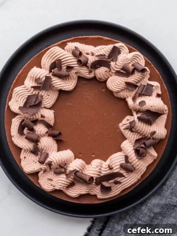 A gorgeous chocolate cheesecake decorated with swirls of whipped cream and shards of dark chocolate.