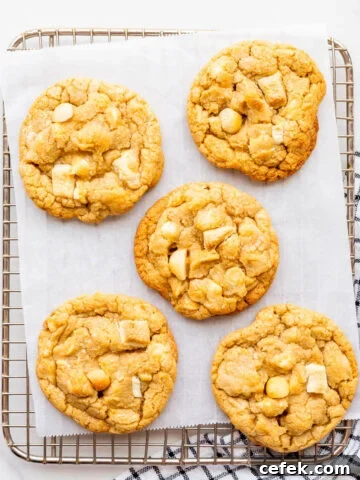 White chocolate macadamia cookies on a cooling rack.