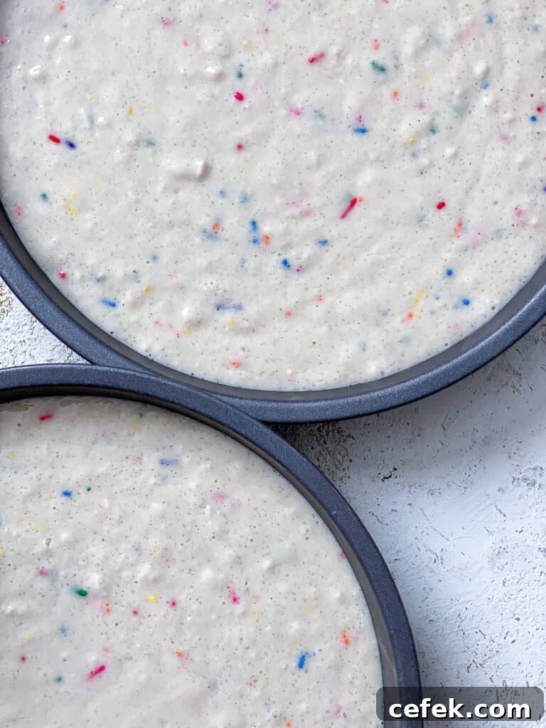 batter in two separate cake pan tins