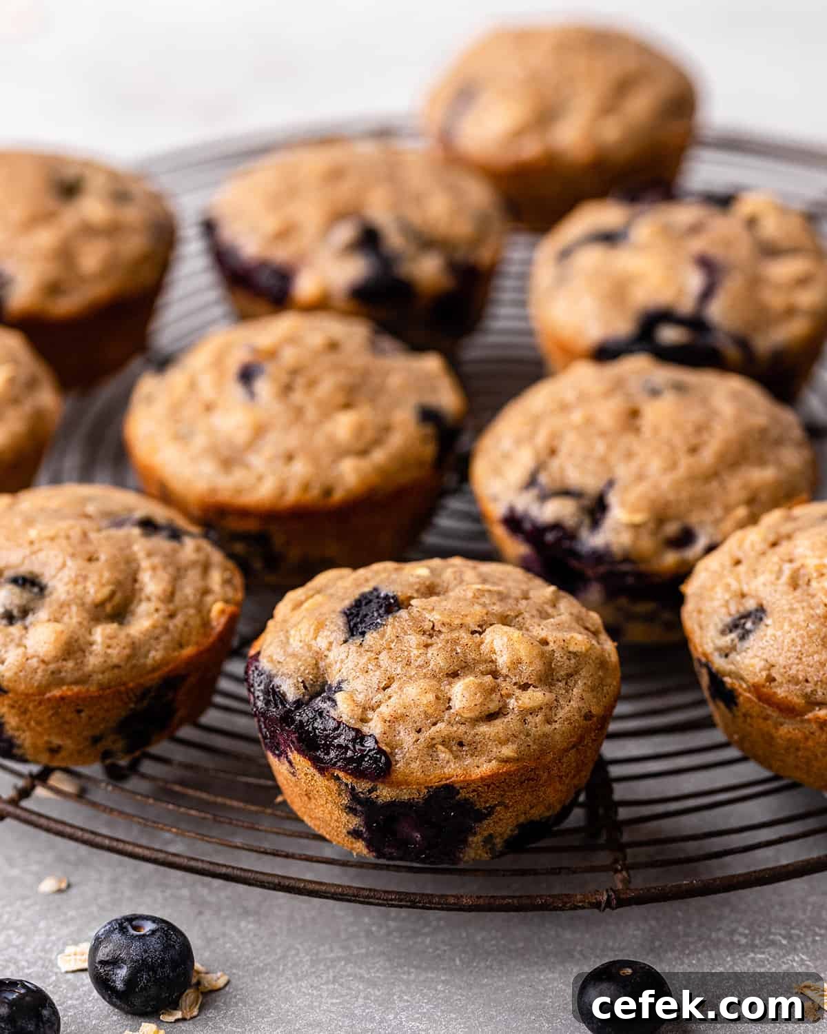 10 blueberry oat muffins on a wire cooling rack