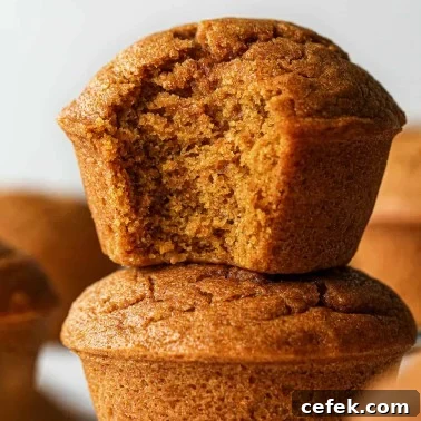 Best Pumpkin Muffins