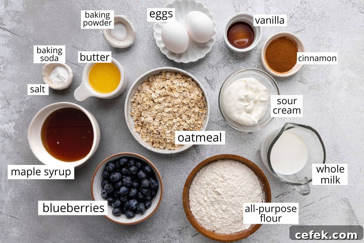 overhead photo of the ingredients in this Blueberry Oatmeal Muffins recipe