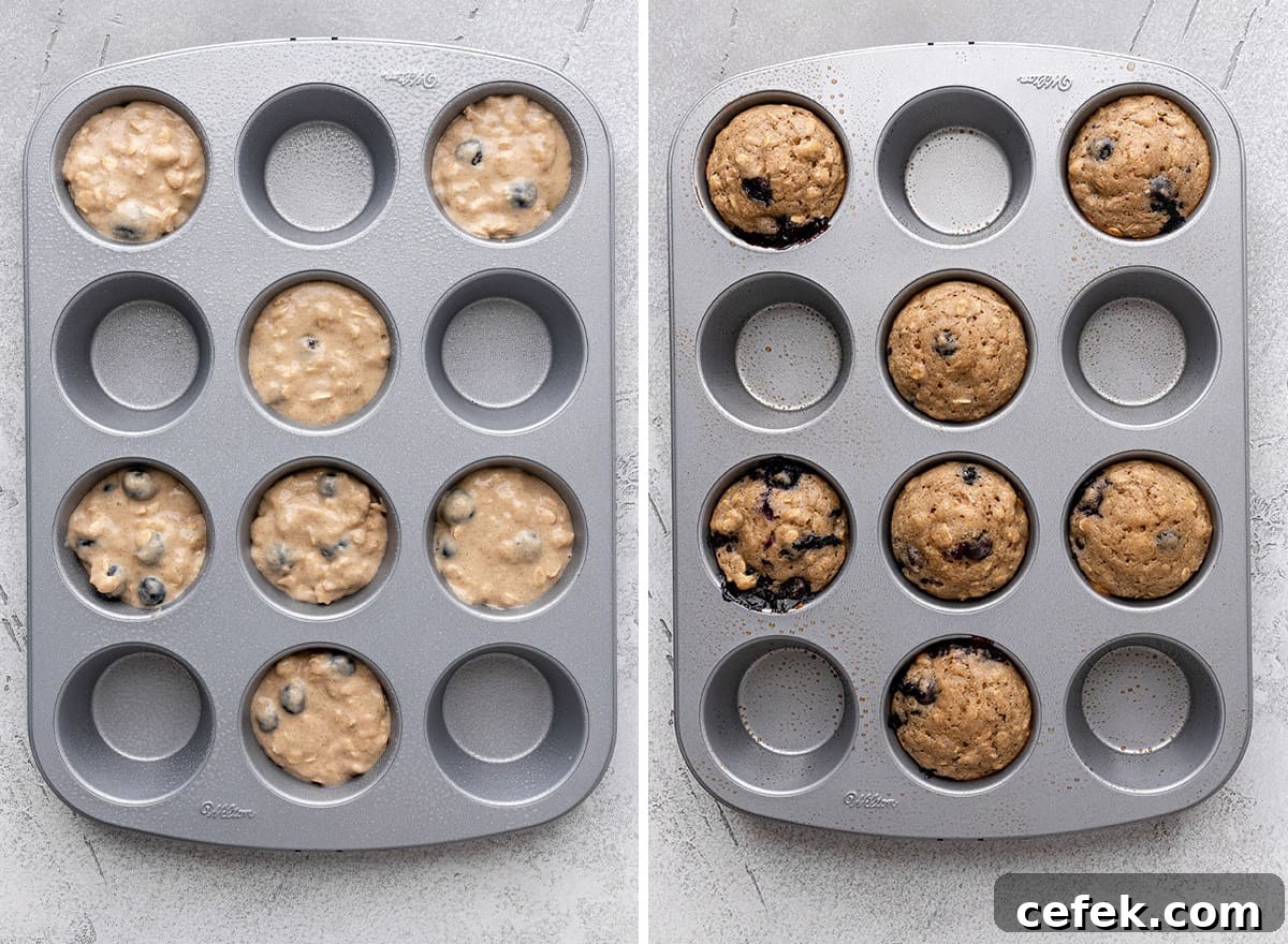 two photos showing blueberry oatmeal muffins in a muffin tin before and after baking