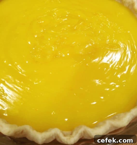 Lemon Pie filling in baked pie shell before meringue topping