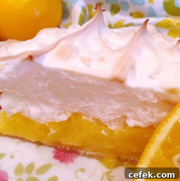 Slice of Lemon Meringue Pie 