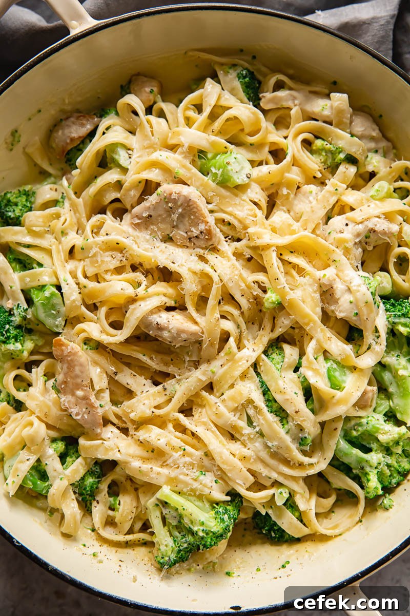 top down view of chicken broccoli alfredo pasta