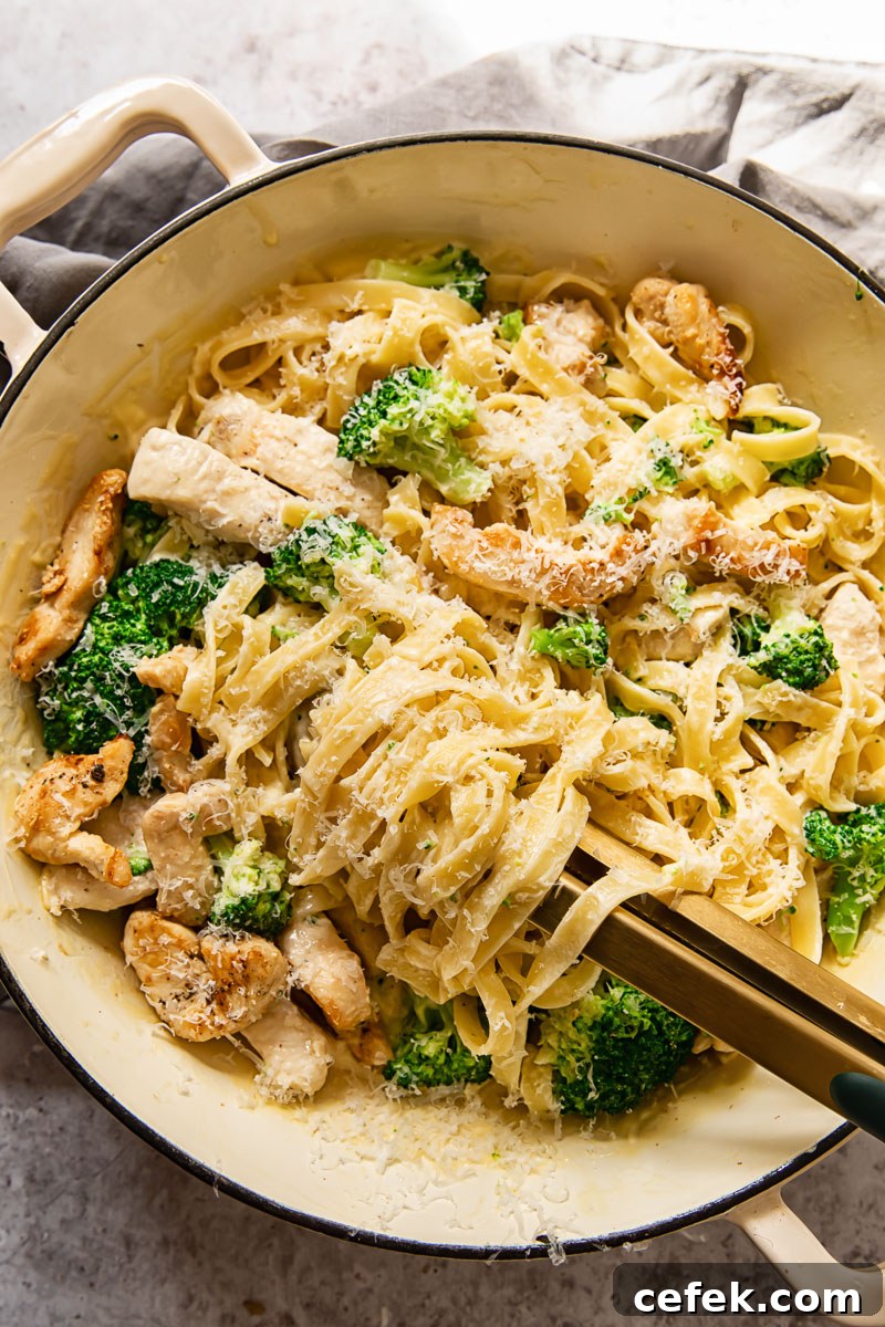 top down view of chicken broccoli alfredo fettuccine in a pan with tongs in it