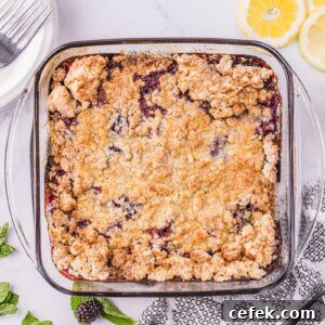 freshly baked blackberry cobbler.