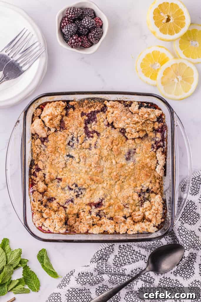 freshly baked homemade blackberry cobbler.
