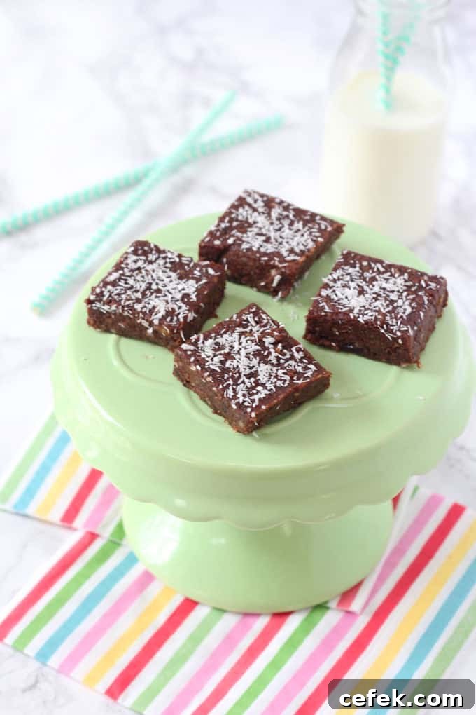 Raw Chocolate Brownie Bites 