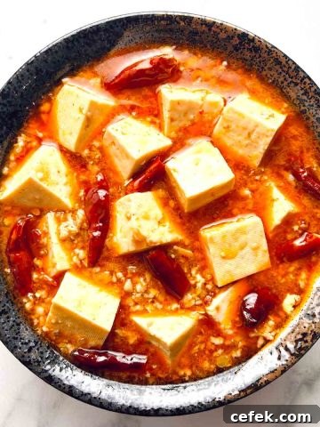 mapo tofu with chicken plating