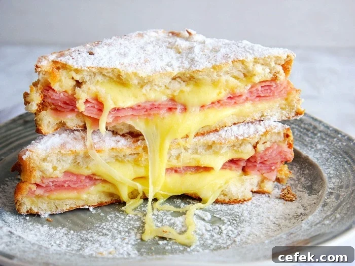 monte cristo