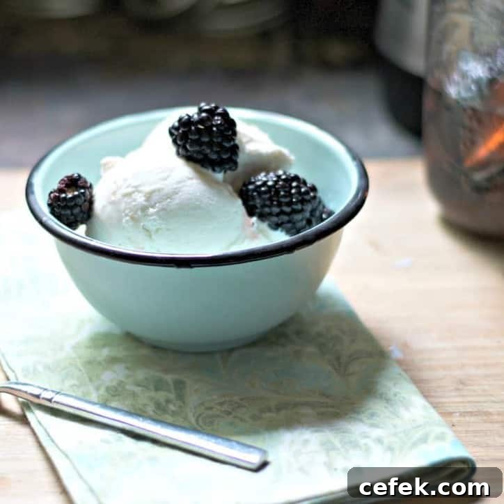 A photo from the side and at a distance of pickled blackberries
