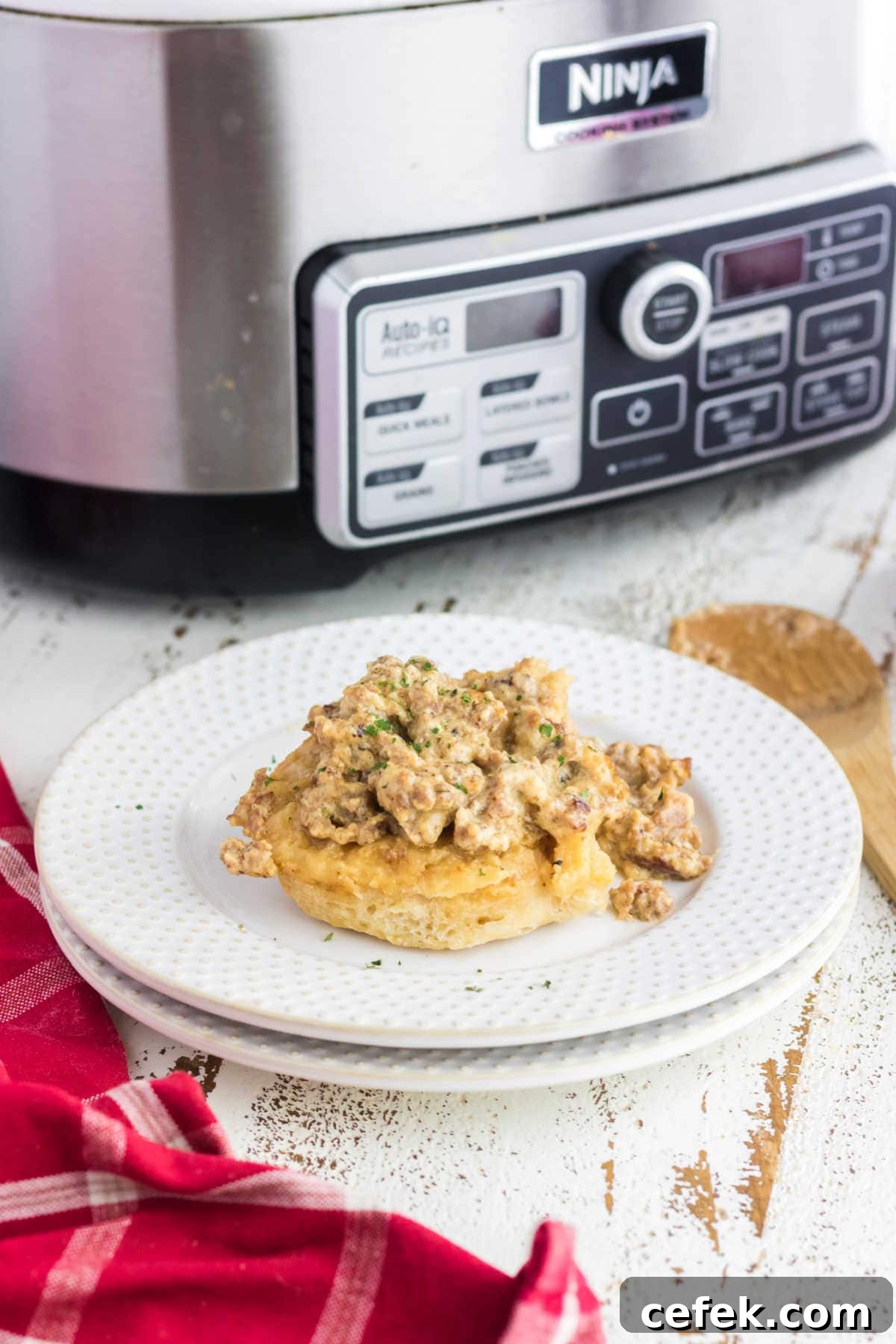 Serving of the biscuits and gravy on a white plate.