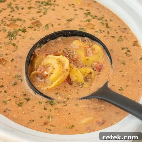 Close-up of creamy tomato tortellini soup with pasta and herbs in black ladle over slow cooker.