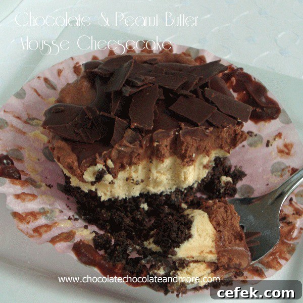 Chocolate & Peanut Butter Mousse Cheesecake