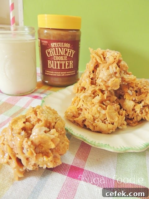 Cookie Butter Coconut Haystack Cookies
