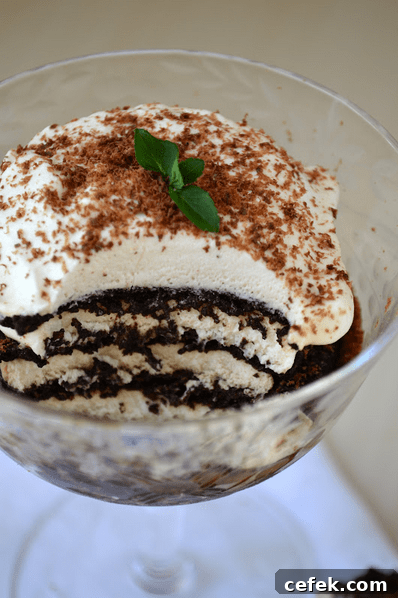 Icebox Tiramisu