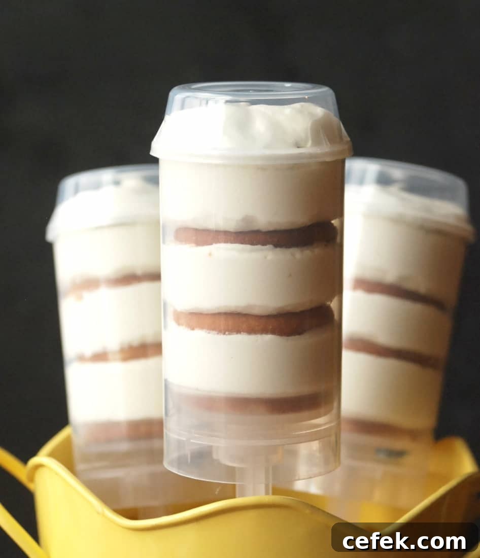 Lemon Cloud Push Pops
