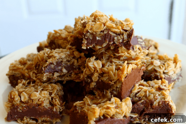 No Bake Chocolate Oat Bars