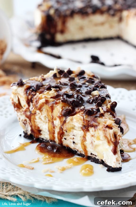 No Bake Samoa Cheesecake