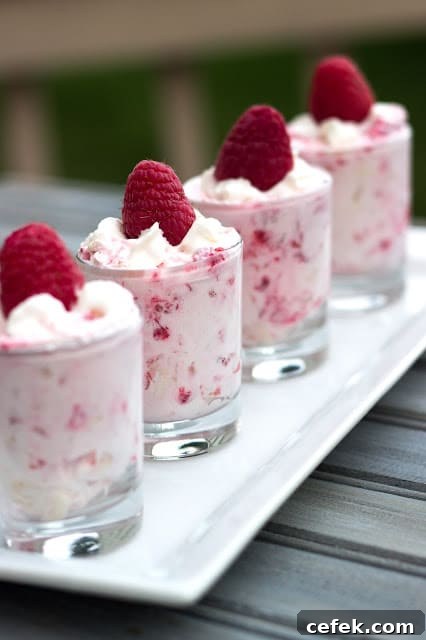 Raspberry Shooters