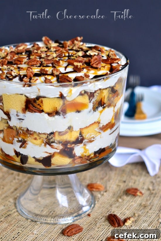 Turtle Cheesecake Trifle