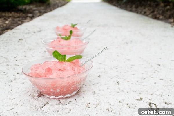 Watermelon & White Wine Granita