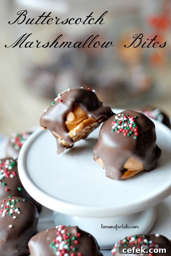 Butterscotch Marshmallow Bites